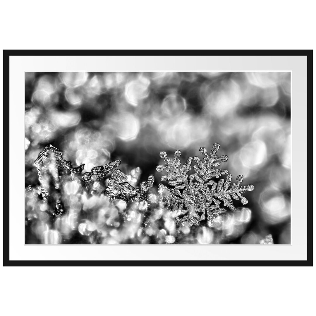 Gerahmtes Wandbild Beautiful Ice Crystal