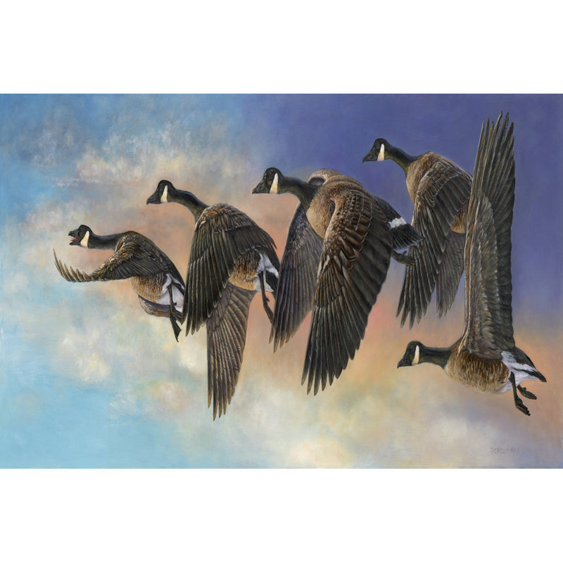 Ascent by Carolyn Mock - Wrapped Canvas Print, 30cm H x 46cm W x 3.8cm D