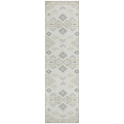 Machine Washable Indoor/Outdoor Chantille ACN2565 Global Rug