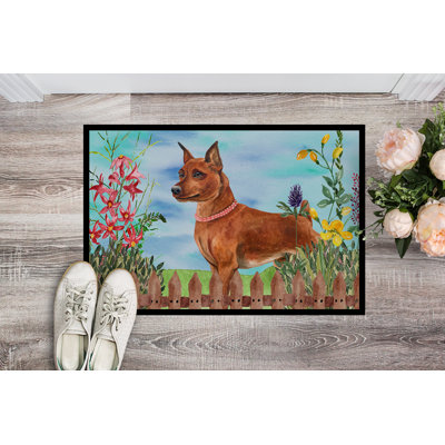 Non-Slip Outdoor Doormat