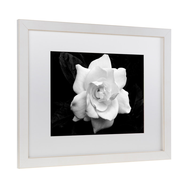 Modern & Contemporary, 11" H x 14" W x 0.5" D, White, White Framed