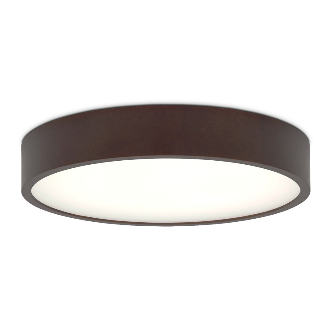 Axsel Flush Mount