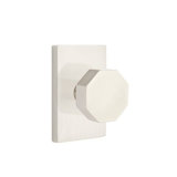 Passage Octagon Knob with Modern Rectangular Rose