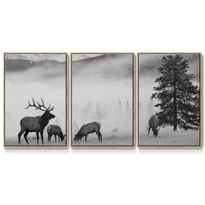 " Mountain Elk " 3 - Pieces