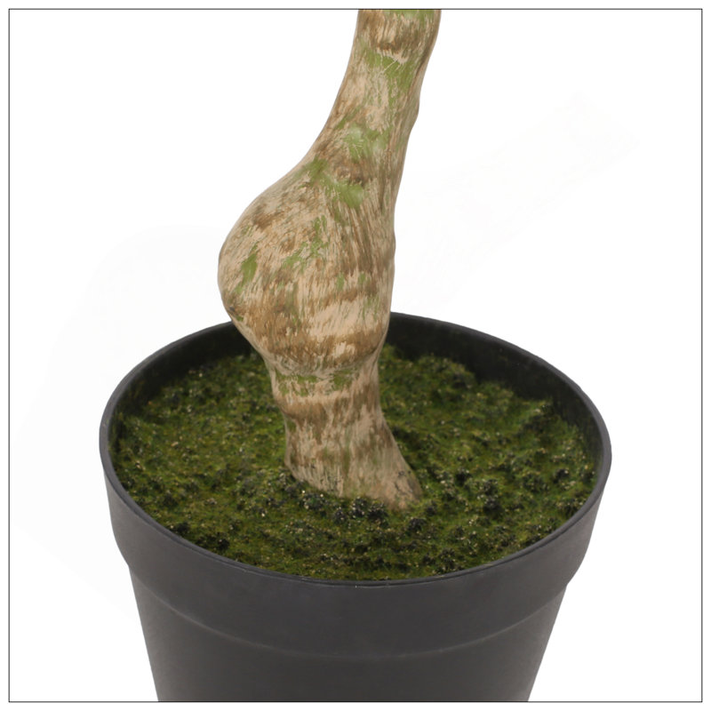 Macrocarpa artificiel Pachira, H 47,2 po x l 23,6 po x P 19,7 po