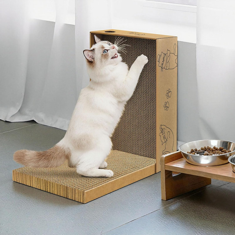 5 paquets dans 1 boîte à griffer en carton pour chat d'intérieur et chaton