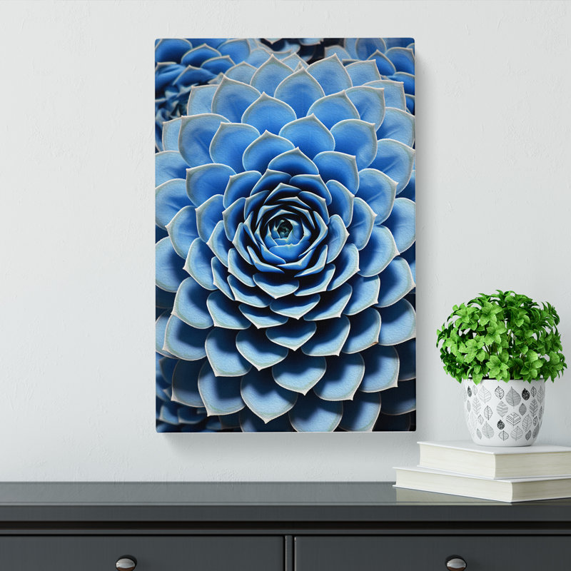 Succulent Op - Print, 50cm H x 35cm W x 3cm D