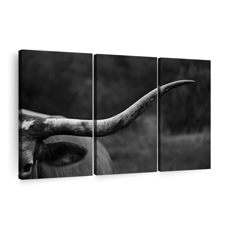 " Texas Longhorn Cattle " 3 - Pieces, 42" H x 65" W x 1.25" D