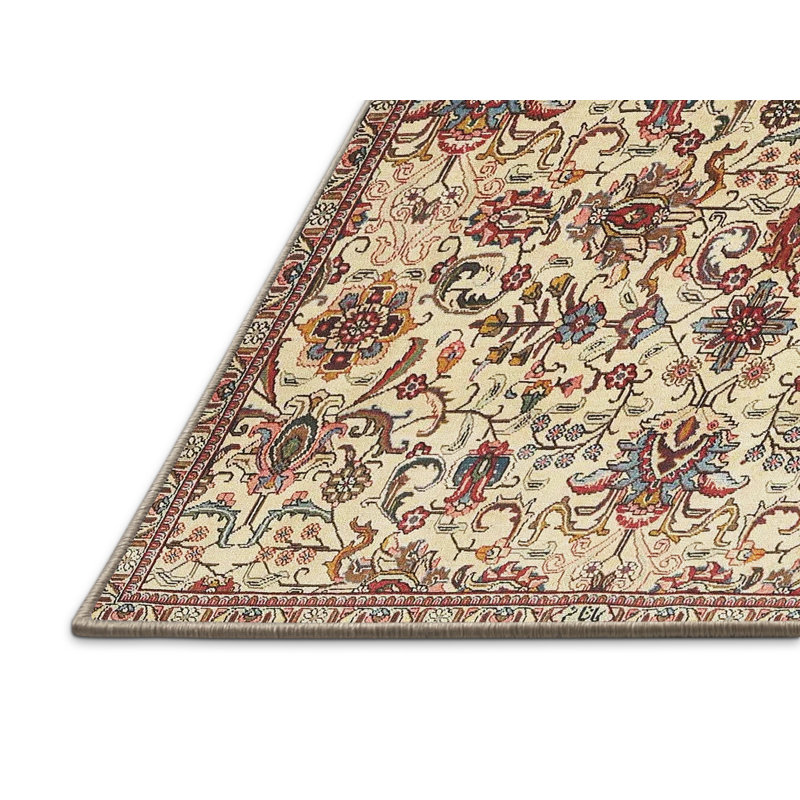 Bosonohy Oriental Indoor Rug, Rectangle 5' x 7'