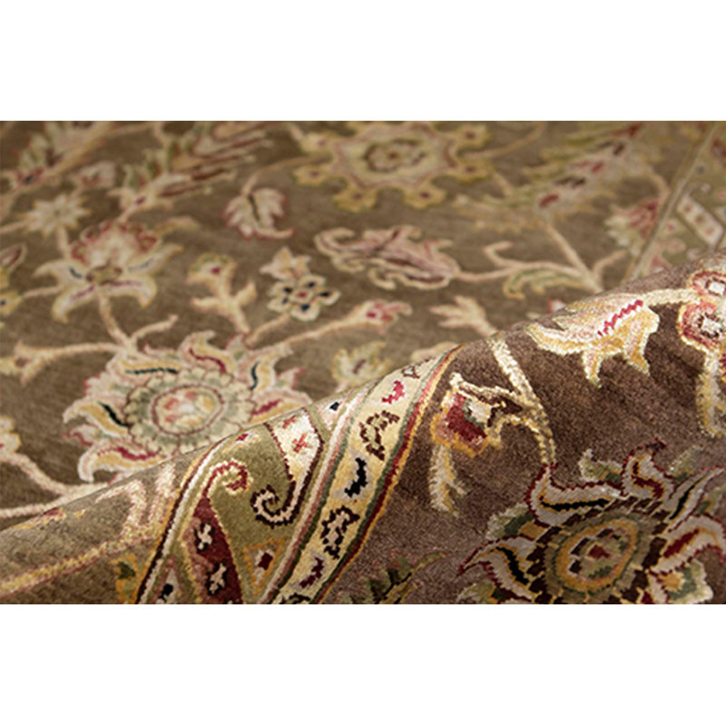 Oriental Area Rug in Brown