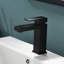 Robinet de salle de bain noir mat - Robinet de lavabo monotrou avec empreinte digitale