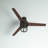 Amp 52'' Ceiling Fan with Light Kit