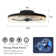16" Led Flush Mount Ceiling Fan Light With Remote