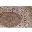 Silk Oriental Area Rug