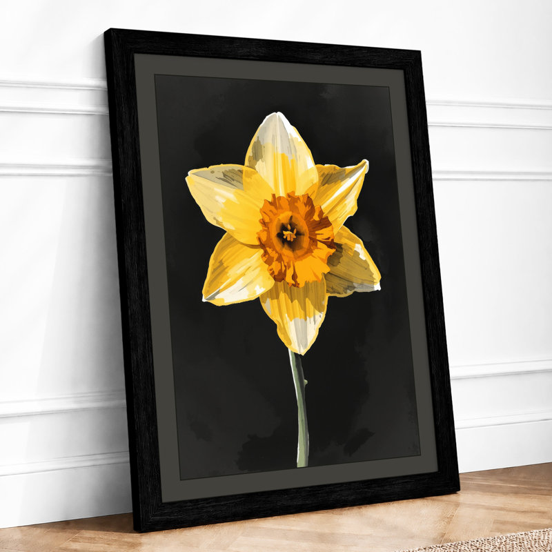 Golden Daffodil Botanical - Framed Print, A3 - 42.0 x 29.7 cm, Black