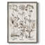 Sépia Besler Botanicals VII, reproduction encadrée - bois massif-1768591992