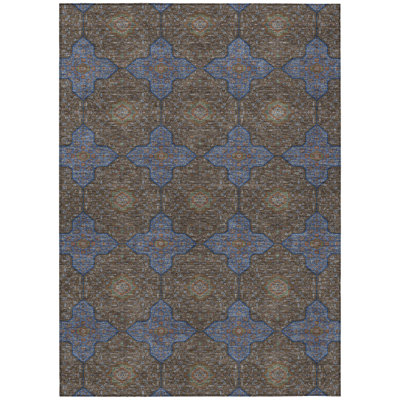 Machine Washable Indoor/Outdoor Chantille ACN2410 Global Rug