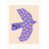 Purple/Yellow selected