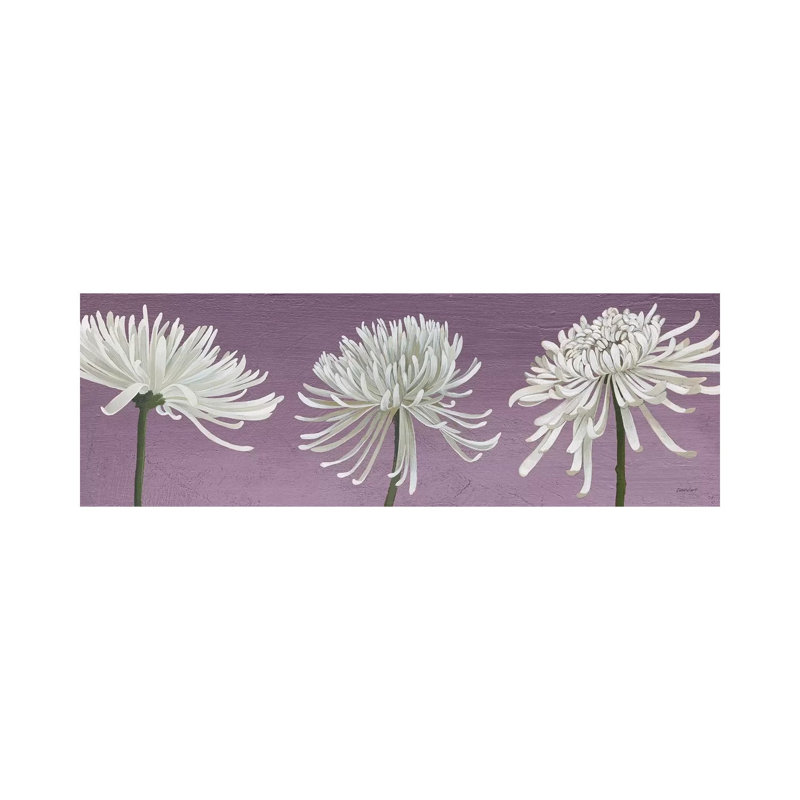 Morning Chrysanthemums V Lavender by Kathrine Lovell - Wrapped Canvas Panoramic Print, 152.4 cm H x 50.8 cm W