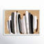 Desert Sprouts By Studiom - Framed Wall Art-509662886-509662943