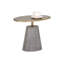 Kadin End Table-866891364