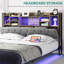 Storage Bed-1026486072