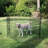 Lucky Dog Exercise Pens-11941707