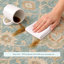 Tapis Chantille ACN3077 Global, lavable à la machine, intérieur/extérieur-889756242-889756248