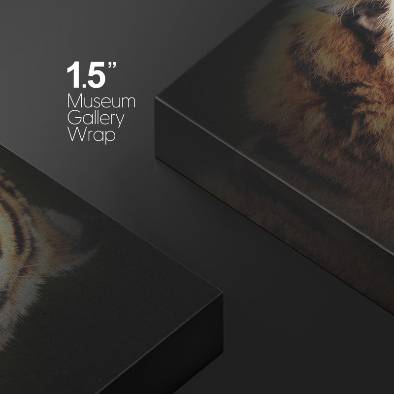 Animaux, tigre du Bengale, H 12 po x l 18 po x P 1,5 po, Toile tendue