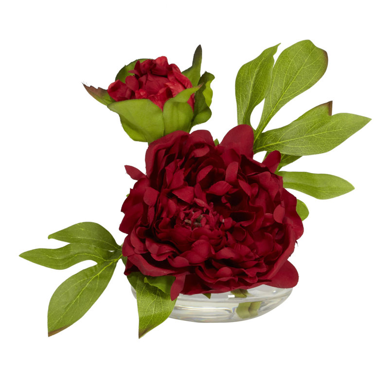 Peony Arrangement in Vase