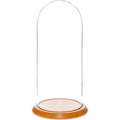 Vucciria Glass Display Dome Cloche