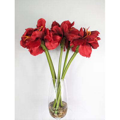 Amaryllis Arrangement in Vase