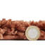 Pechler area rug Machine Woven Rust-855889990