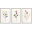 "Minimal Botanical" Pastel Wild Flower Daisy Variétés-91875090-91875091