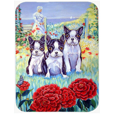 Boston Terrier Three in a Row Glass Cutting Board