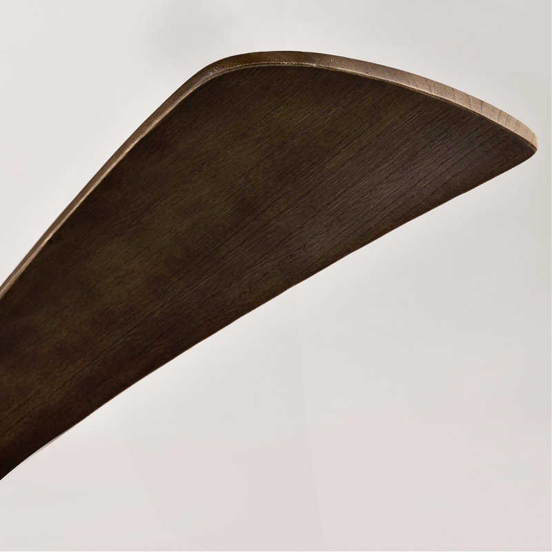 Ventilateur de plafond 52 po avec lumières
