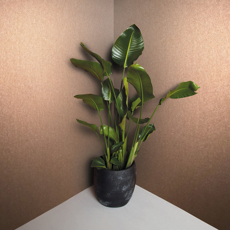 Eclectic 33cm x 70cm Wallpaper Roll, Orange