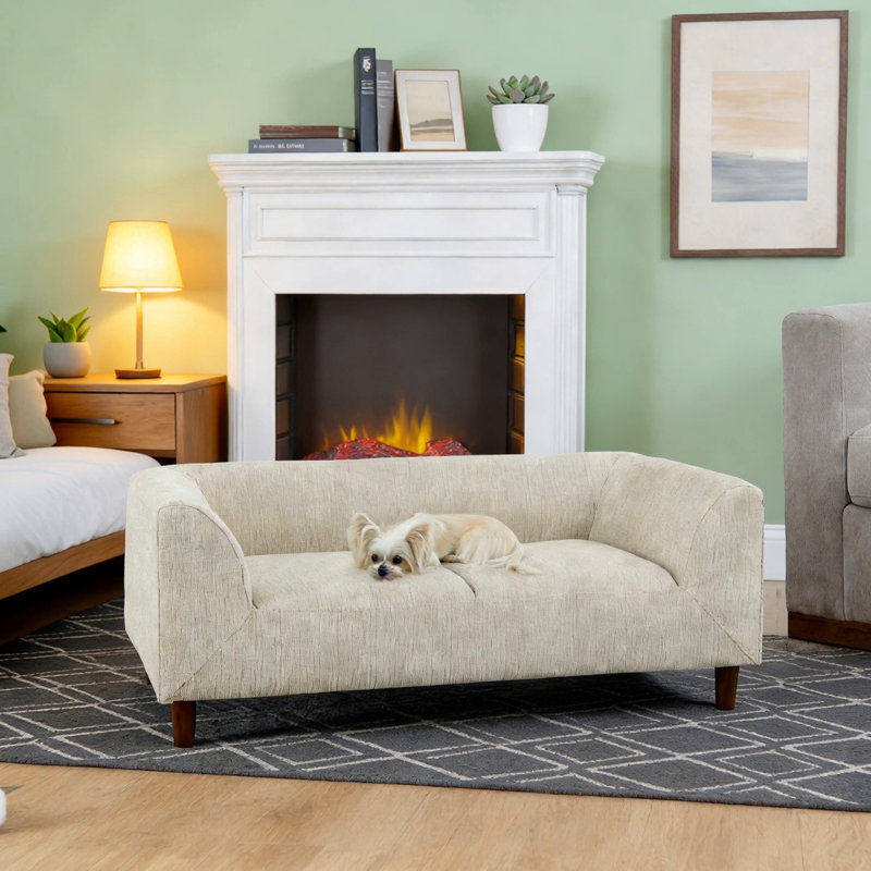 Canapé rectangulaire moderne pour animaux avec dossier et accoudoirs, coussin moelleux pour petits et moyens chiens, Beige