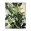 Clintondale - Horloge murale plantes-96522248