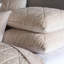 Nova Quilted Velvet Sham-40207251-40207242