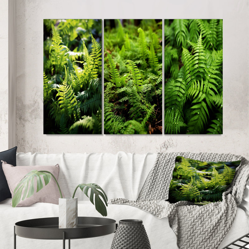 «Green Fern Fond», 3 pièces sur toile, Toile tendue, H 32 po x l 48 po