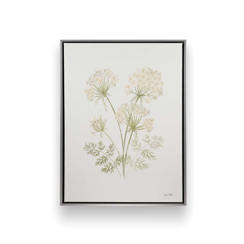 «Anne's Lace I» par House Fenway, reproduction d'art, L 30 x H 40, Argent, Toile avec cadre