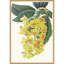 Impression sur toile encadrée «Tropicals VI» par Ciska-1044949081