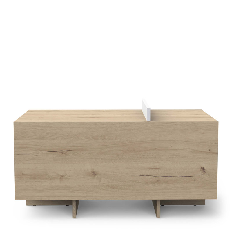 LEAD Coffee Table with Storage