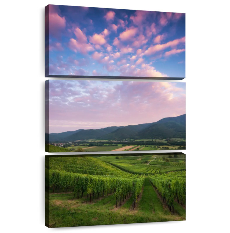 Alvord Vaste vignoble d'Alsace, H 32 po x l 20 po