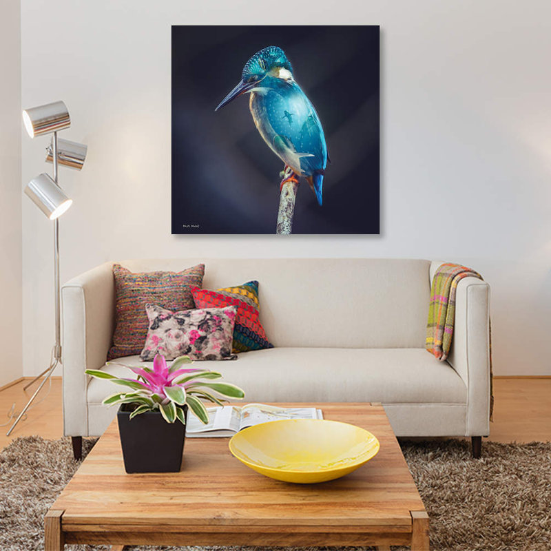 Aquarium Bird by Paul Haag - Wrapped Canvas Giclee Art Print, 66.04 cm H x 66.04 cm W x 3.175 cm D