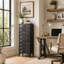 Anton Accent Chest
