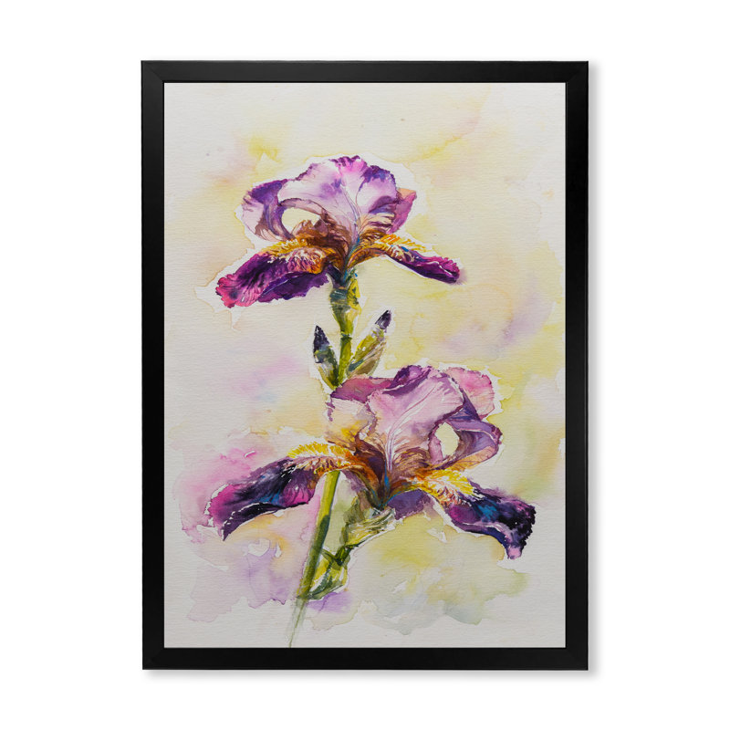 Aquarelle Iris fleur rose - décoration murale traditionnelle sur toile, Toile avec cadre photo noir