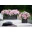 Centres de table mixtes en pot-239678552-239678557