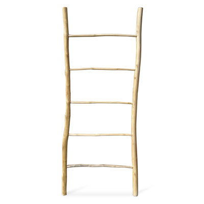 Échelle de couverture blanchie 6,58 pi